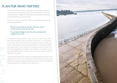 COMPASS ION ADVISORS / PRINT
