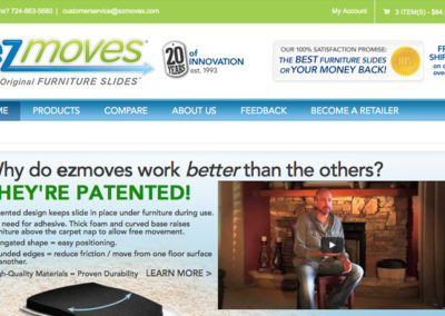 EZMOVES / WEB